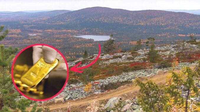 Chasse au trésor en Finlande : 20K€ dans la forêt de Levi - Gare Express